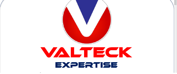 Logo de la empresa, en forma de V con colores rojo, blanco y azul